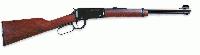 Henry 22  Lever Action Youth  .22 LR (H001Y)